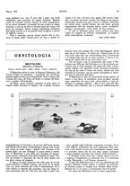 giornale/LO10010767/1925/unico/00000079