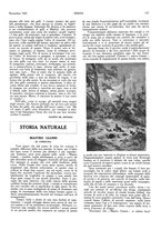 giornale/LO10010767/1925/unico/00000305