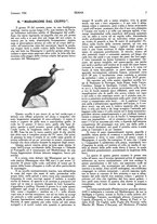giornale/LO10010767/1926/unico/00000015