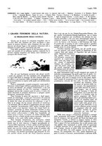 giornale/LO10010767/1926/unico/00000184