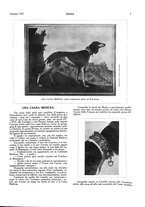 giornale/LO10010767/1927-1928/unico/00000017