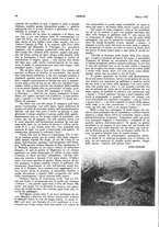 giornale/LO10010767/1927-1928/unico/00000066