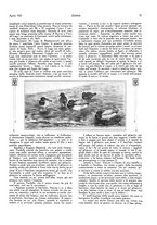 giornale/LO10010767/1927-1928/unico/00000105