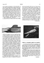 giornale/LO10010767/1927-1928/unico/00000141