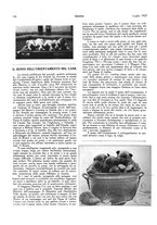giornale/LO10010767/1927-1928/unico/00000144