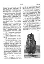 giornale/LO10010767/1927-1928/unico/00000146