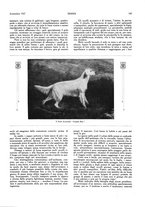 giornale/LO10010767/1927-1928/unico/00000183