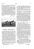 giornale/LO10010767/1927-1928/unico/00000203
