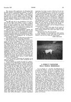 giornale/LO10010767/1927-1928/unico/00000235