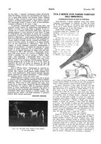 giornale/LO10010767/1927-1928/unico/00000260
