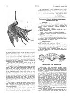 giornale/LO10010767/1927-1928/unico/00000310