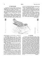 giornale/LO10010767/1927-1928/unico/00000324