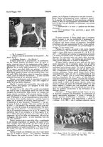 giornale/LO10010767/1927-1928/unico/00000351
