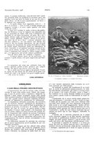 giornale/LO10010767/1927-1928/unico/00000397