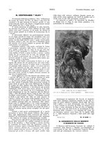 giornale/LO10010767/1927-1928/unico/00000404