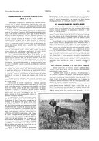 giornale/LO10010767/1927-1928/unico/00000405