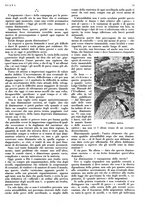 giornale/LO10010767/1933/V.1/00000083