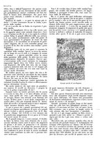 giornale/LO10010767/1933/V.1/00000085