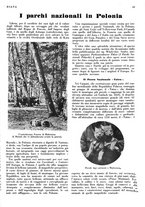 giornale/LO10010767/1933/V.1/00000099