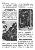 giornale/LO10010767/1933/V.1/00000101