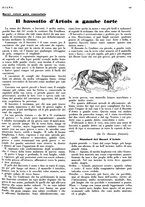 giornale/LO10010767/1933/V.1/00000109