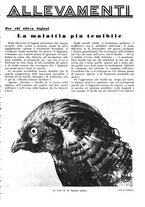 giornale/LO10010767/1933/V.1/00000121