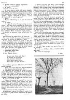 giornale/LO10010767/1933/V.1/00000161