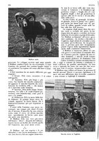 giornale/LO10010767/1933/V.1/00000230