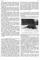 giornale/LO10010767/1933/V.1/00000231