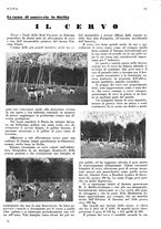 giornale/LO10010767/1933/V.1/00000235