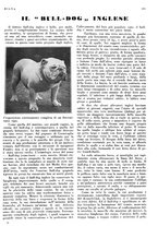 giornale/LO10010767/1933/V.1/00000251