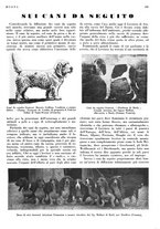 giornale/LO10010767/1933/V.1/00000257