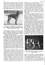 giornale/LO10010767/1933/V.1/00000258