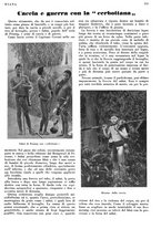 giornale/LO10010767/1933/V.1/00000295
