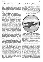 giornale/LO10010767/1933/V.1/00000303