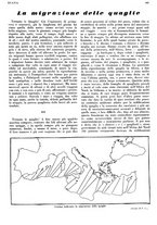giornale/LO10010767/1933/V.1/00000369