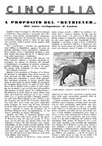 giornale/LO10010767/1933/V.1/00000375