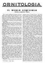 giornale/LO10010767/1933/V.1/00000397