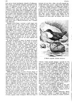 giornale/LO10010767/1933/V.1/00000398