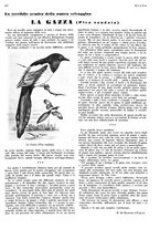 giornale/LO10010767/1933/V.1/00000447