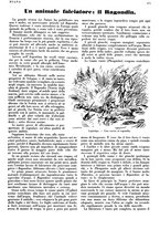 giornale/LO10010767/1933/V.1/00000505