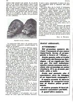 giornale/LO10010767/1933/V.1/00000506