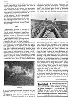 giornale/LO10010767/1933/V.1/00000509