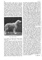 giornale/LO10010767/1933/V.1/00000516
