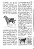 giornale/LO10010767/1933/V.1/00000520
