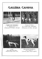 giornale/LO10010767/1933/V.1/00000525