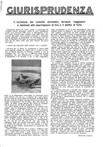 giornale/LO10010767/1933/V.1/00000535