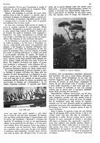 giornale/LO10010767/1933/V.1/00000569