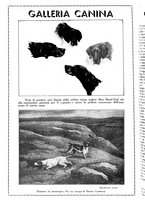 giornale/LO10010767/1933/V.1/00000570