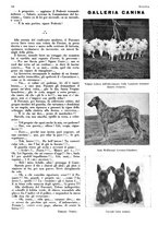 giornale/LO10010767/1933/V.1/00000576